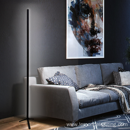 Home Decorative Dimmable Floor Lamp